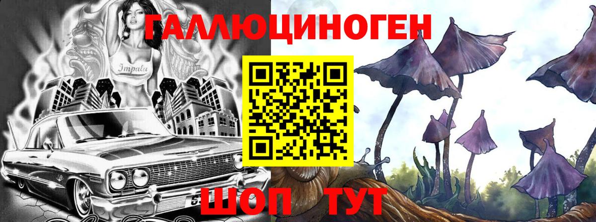 Псилоцибиновые грибы Cubensis Подольск